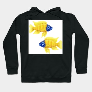 Yellow and Blue Sunshine Peacock Cichlid Hoodie